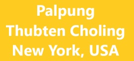 Palpung Thubten Choling - New York, USA Logo